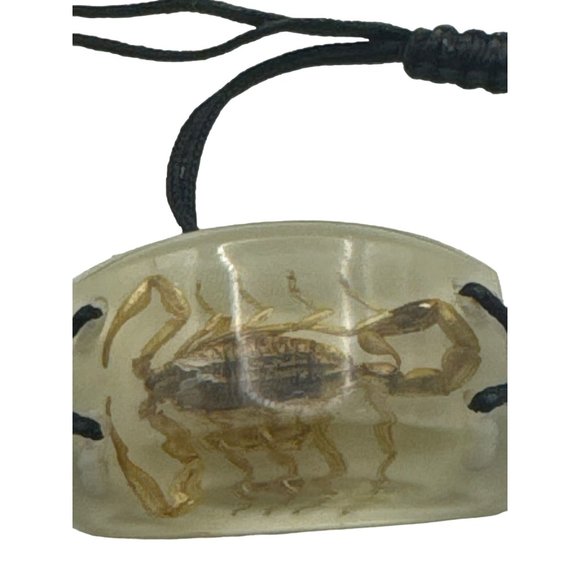 Real Scorpion Encased in Resin Bracelet with Glow in the Dark Background - Picture 2 of 6